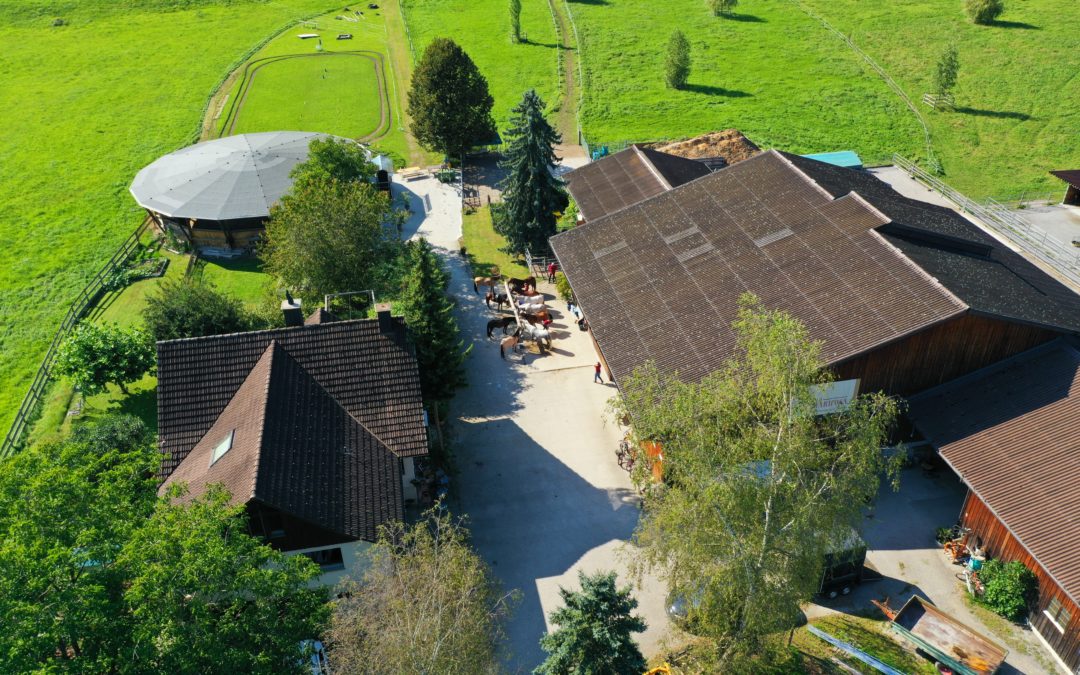 Impressionen von unserem Hof