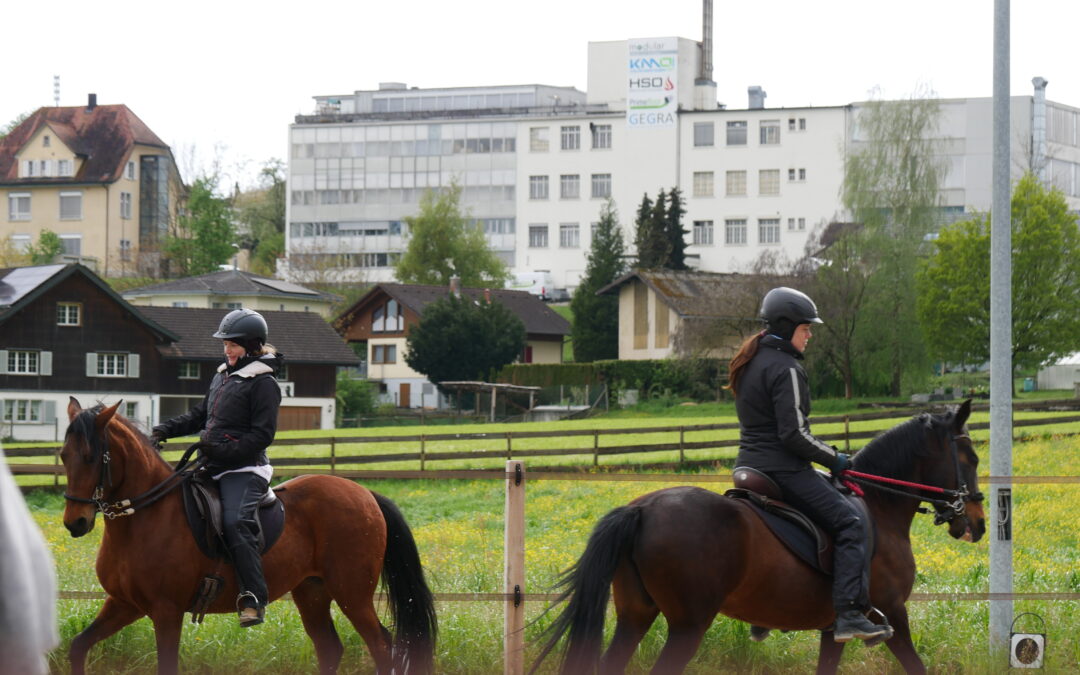 Anna Eschner Kurs April 2024 