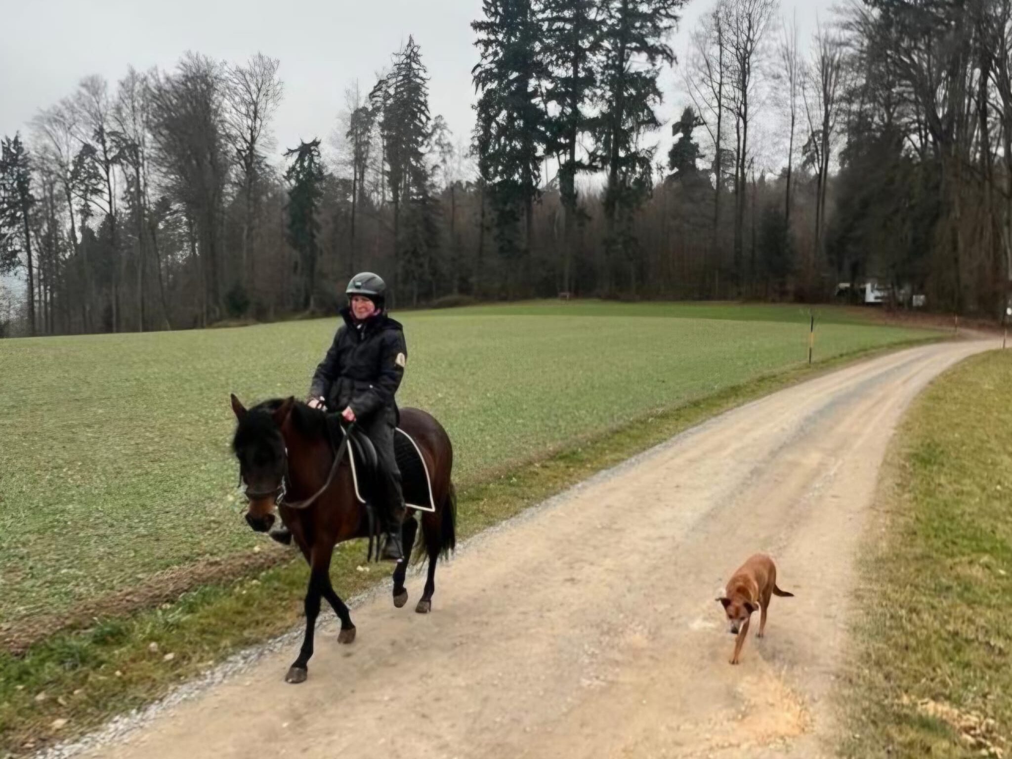 Alhaja de la Mariposa Paso Fino Stute und ihre Besitzerin